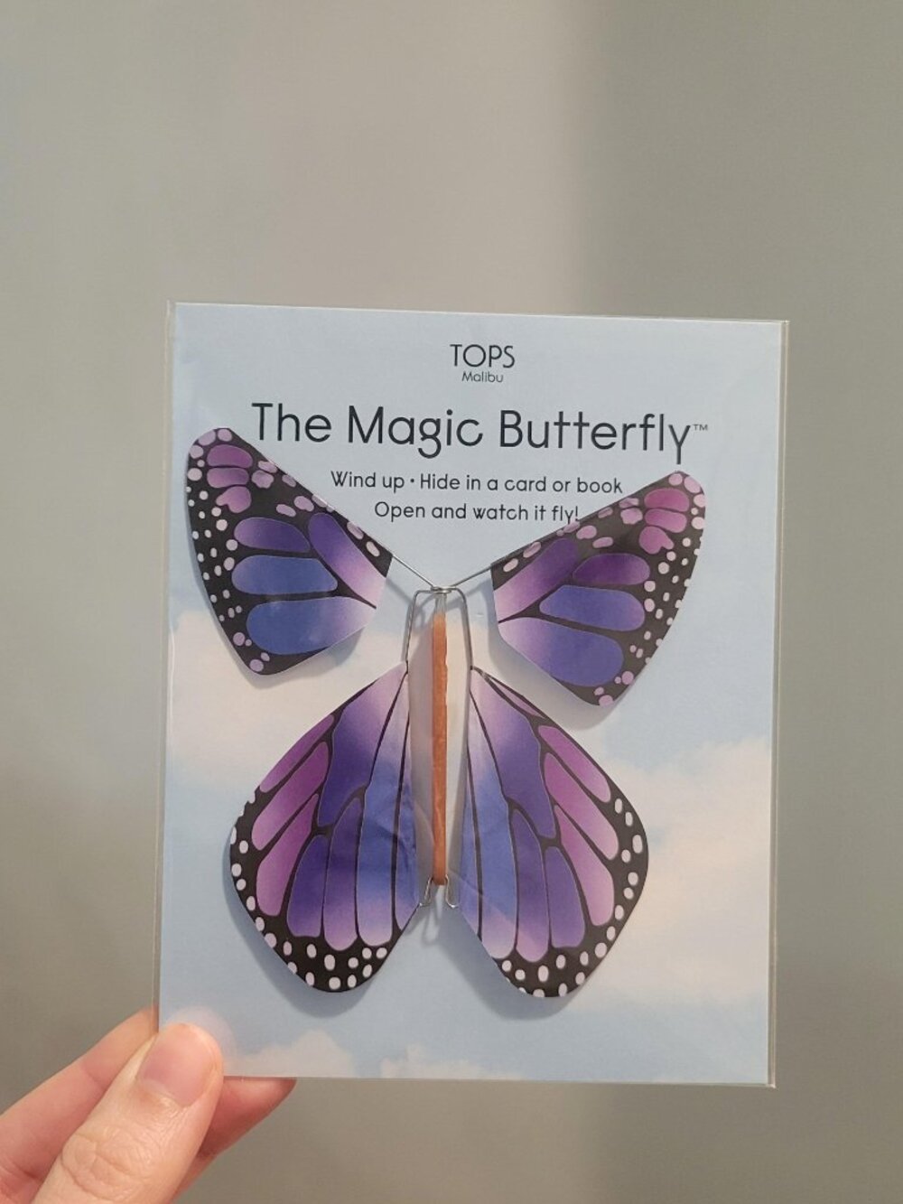 NWT Tops Malibu Flying Magic Butterfly - Purple - Set of 2